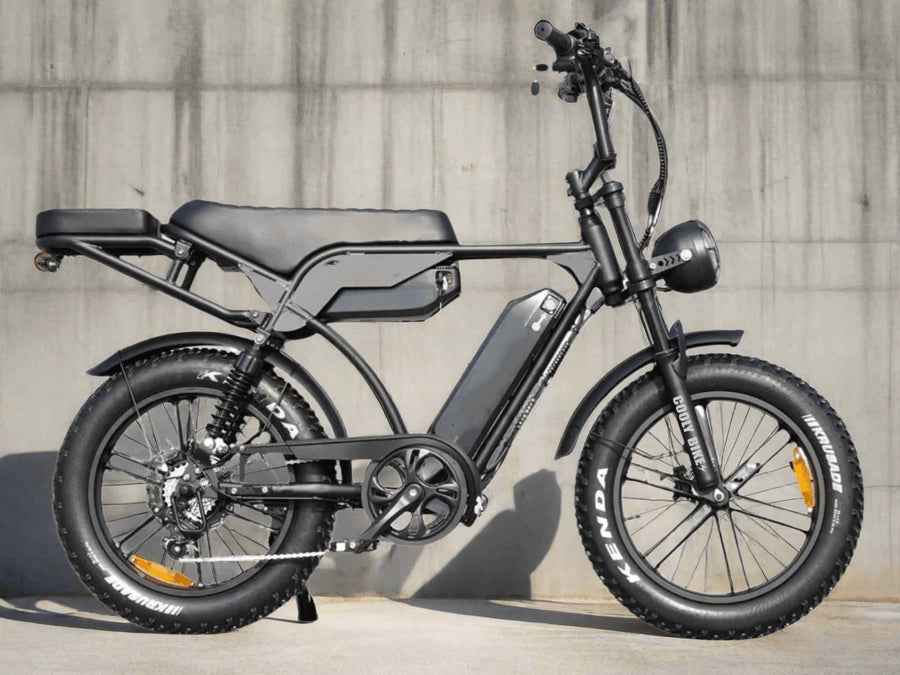 Cycle GO Range Pro Electric Bike