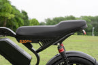 Cycle GO Cruiser NEO Electric Bike